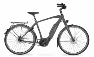 Velo de ville AEB 800 (60, High, ECO Grey, Bosch Performance Line, 545Wh, Purion 200, belt, Shimano Nexus 5)