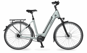 Velo de ville AEB 890 (48, Low entry, Stone Basalt glanz, Bosch Performance Line, 625Wh, Kiox 300, belt, Shimano Nexus 5)