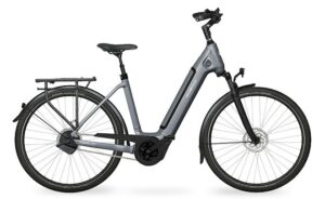 Velo de ville AEB 890 (48, Low entry, Stone Basalt matt, Bosch Performance Line, 500Wh, Kiox 500, chain, Enviolo TR)