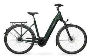Velo de ville AEB 890 (53, Low entry, Emerald Green glanz, Bosch Performance Line, 625Wh, Kiox 300, belt, Shimano Nexus 5)