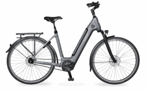 Velo de ville AEB 890 (53, Low entry, Stone Basalt glanz, Bosch Performance Line, 625Wh, Kiox 300, belt, Shimano Nexus 5)