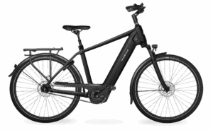 Velo de ville AEB 890 (58, High, Deep Black matt, Bosch Performance Line, 625Wh, Purion 200, belt, Shimano Nexus 5)
