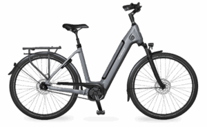 Velo de ville AEB 890 (58, Low entry, Stone Basalt matt, Bosch Performance Line, 625Wh, Kiox 300, belt, Shimano Nexus 5)
