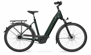 Velo de ville AEB 890 PRO (45, Low entry, Emerald Green glanz, Bosch Performance Line, 625Wh, Kiox 300, belt, Shimano Nexus 5)