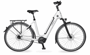 Velo de ville AEB 890 PRO (48, Low entry, Stone Basalt glanz, Bosch Performance Line, 625Wh, Kiox 300, belt, Shimano Nexus 5)
