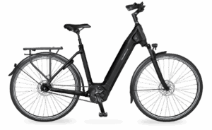 Velo de ville AEB 890 PRO (53, Low entry, Olive Green matt, Bosch Performance Line, 625Wh, Kiox 300, belt, Shimano Nexus 5)
