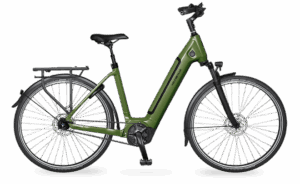 Velo de ville AEB 890 PRO (53, Low entry, Olive Green matt, Bosch Performance Line, 625Wh, Kiox 300, belt, Shimano Nexus 5)