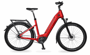 Velo de ville SEB 890 PRO (48, Low entry, Olive Green matt, Bosch Performance Line, 625Wh, Kiox 300, belt, Shimano Nexus 5)