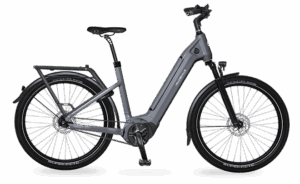 Velo de ville SEB 890 PRO (53, Low entry, Olive Green matt, Bosch Performance Line, 625Wh, Kiox 300, belt, Shimano Nexus 5)