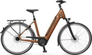Velo de ville - (53, Low entry, Sahara Brown matt, Bosch Performance Line SX, 400 Wh, Purion 200, chain)